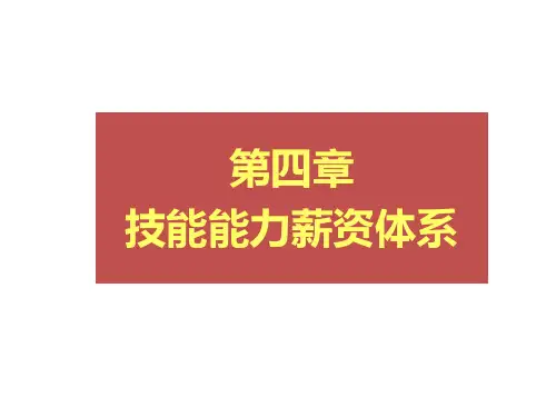 技能能力薪资体系.pptx