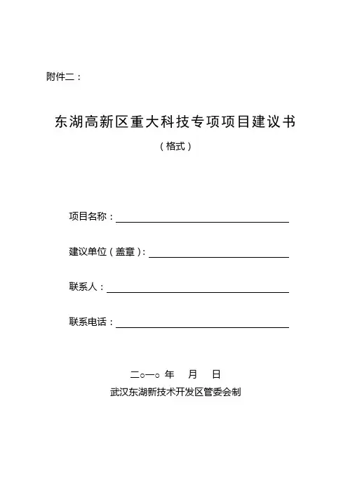 项目建议书 3