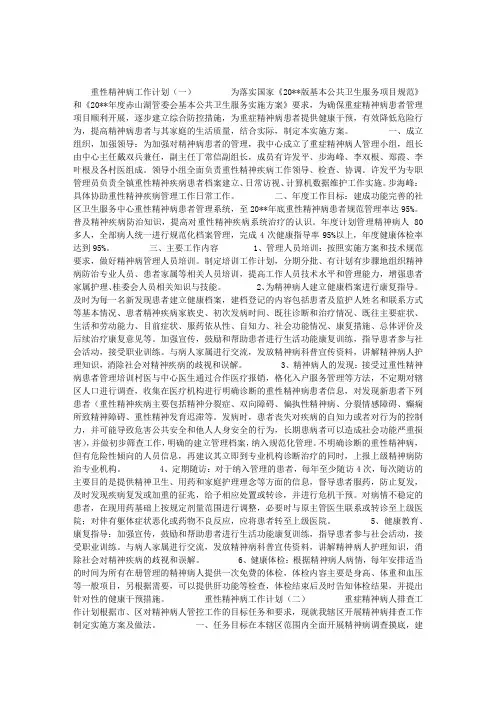 重性精神病工作计划