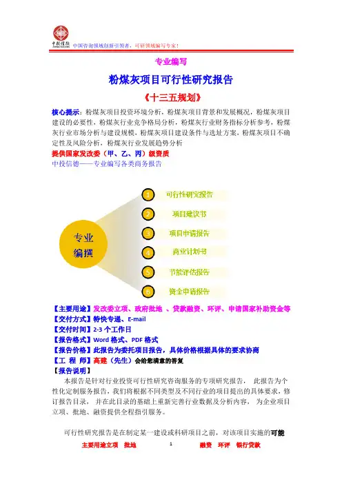 粉煤灰项目可行性研究报告