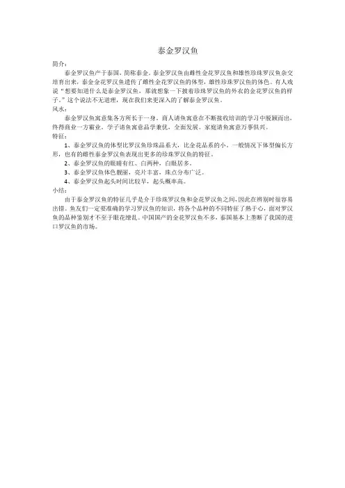 泰金罗汉鱼