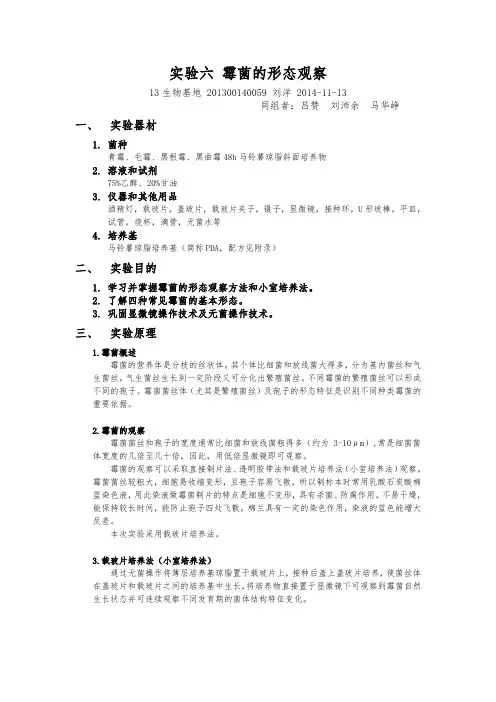 微生物学实验六 霉菌的形态观察