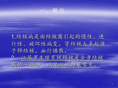 泌尿男生殖系统结核-(2)PPT课件