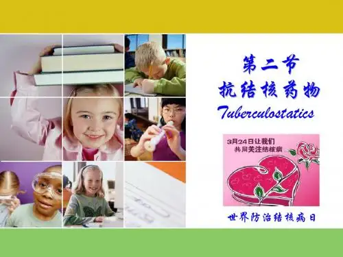 抗结核药物 ppt课件