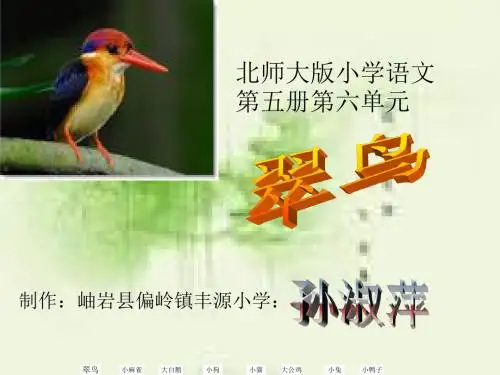 [三年级语文]翠鸟教学课件孙淑萍