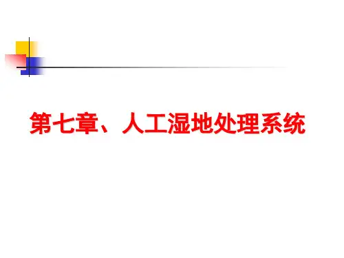 7人工湿地解析