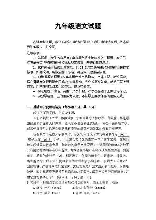 2023年九年级语文试题