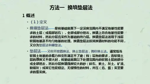 《特殊地基处理》课件