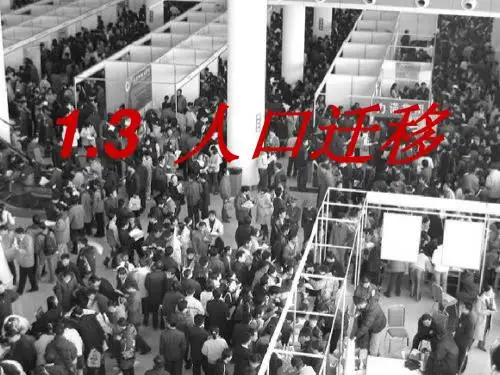 人口迁移_高中地理必修二