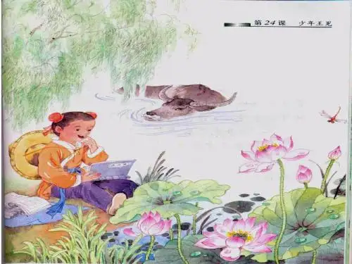 《少年王冕》-第一课时课件