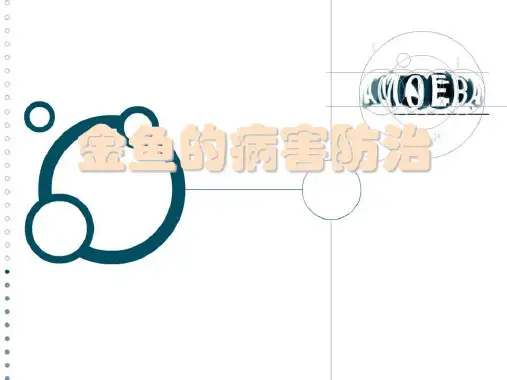 金鱼的病害防治