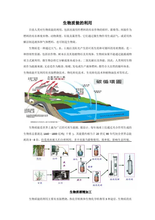 生物质能利用