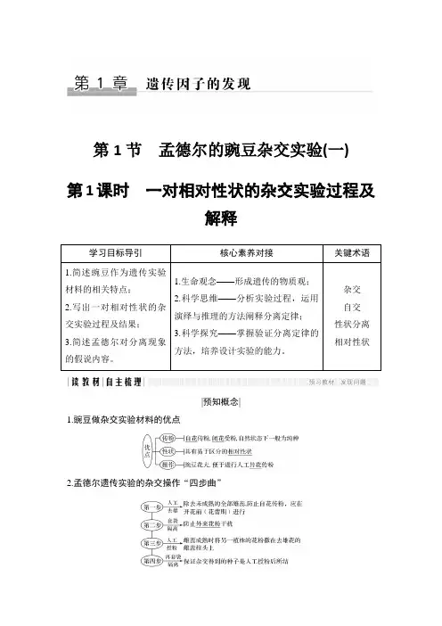 高中生物必修二优质学案：1.1.1 一对相对性状的杂交实验过程及解释