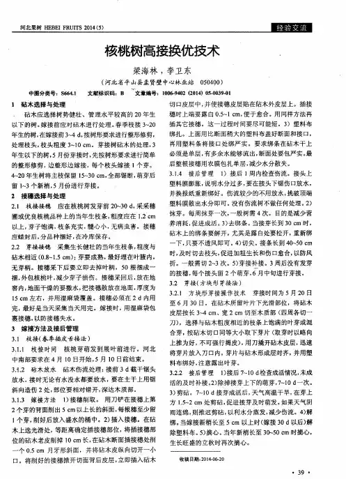 核桃树高接换优技术