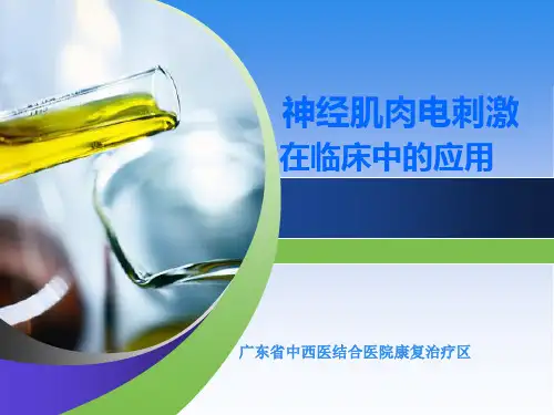 神经肌肉电刺激疗法PPT课件