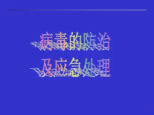 计算机病毒 PPT课件