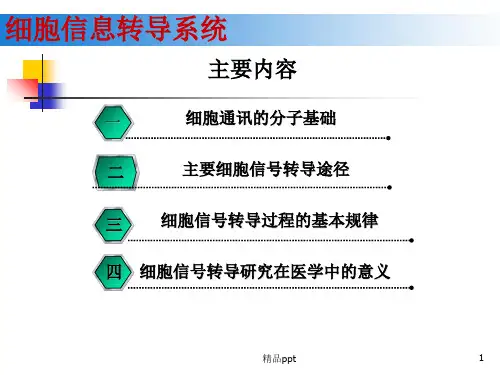 细胞信号转导系统PPT课件