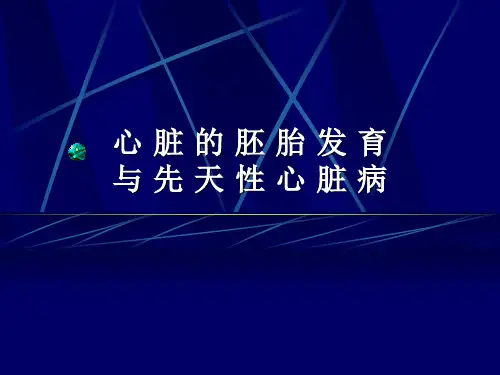 心脏的胚胎发育与先天性心脏病12