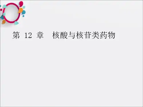 《核酸与核苷类药物》PPT课件