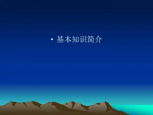 企业养老保险资料文档