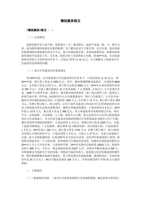 情况报告范文