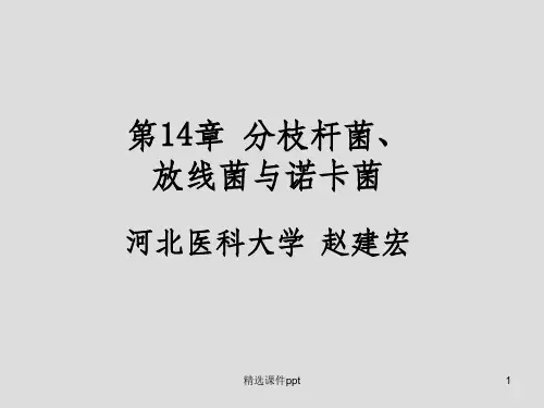 《分枝杆菌》PPT课件