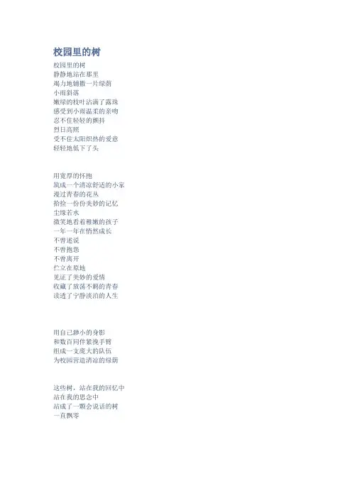 校园里的树