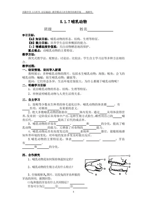 5.1.7哺乳动物