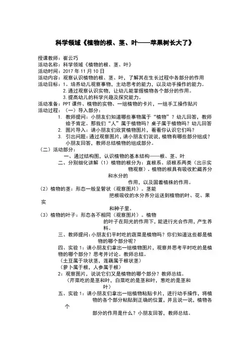 《植物的根茎叶》教案