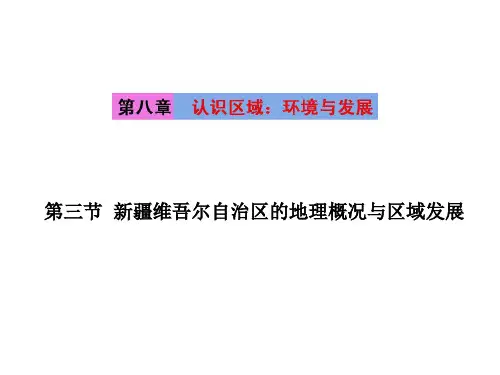新疆的地理概况与区域发展