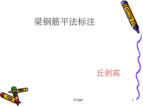 梁钢筋平法标注图解ppt课件