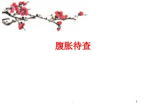 腹胀待查PPT参考课件