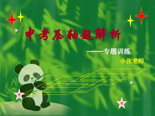 中考压轴题3