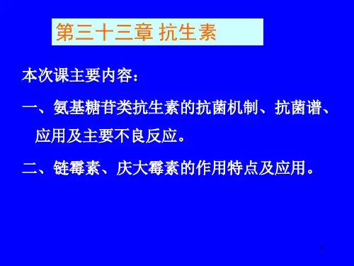 51天然药物化学 第三十三章 抗生素(34)PPT课件