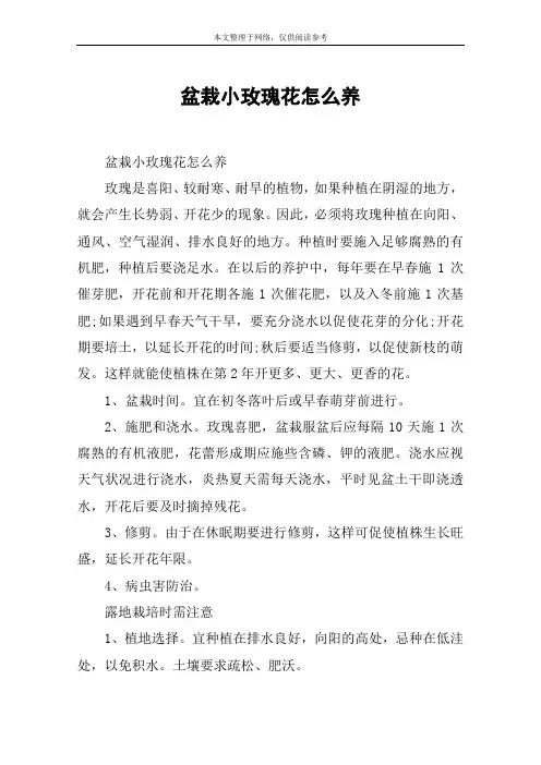 盆栽小玫瑰花怎么养