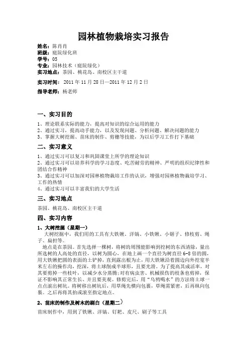 园林植物栽培实习报告