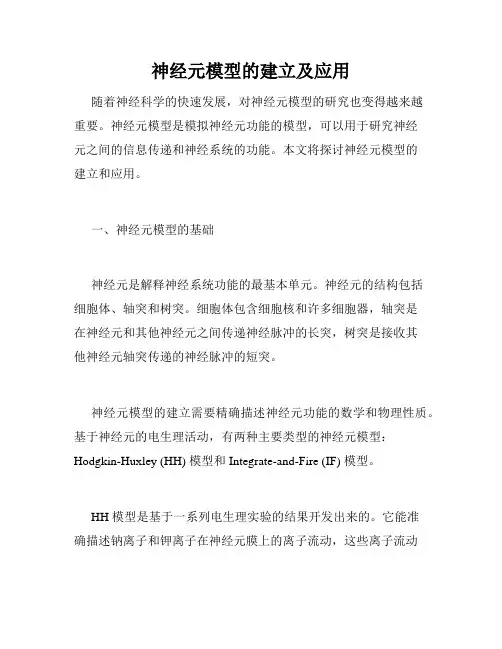 神经元模型的建立及应用