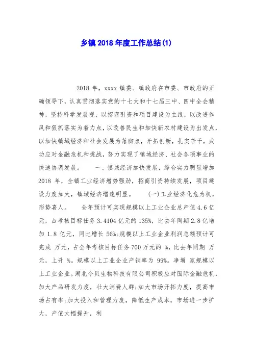 乡镇2018年度工作总结(1)