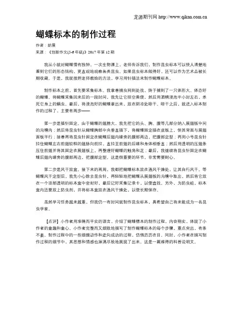 蝴蝶标本的制作过程