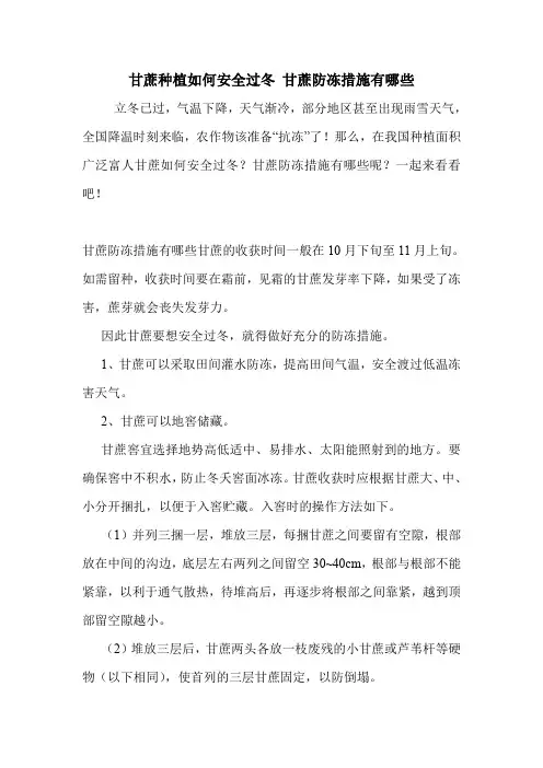 甘蔗种植如何安全过冬 甘蔗防冻措施有哪些