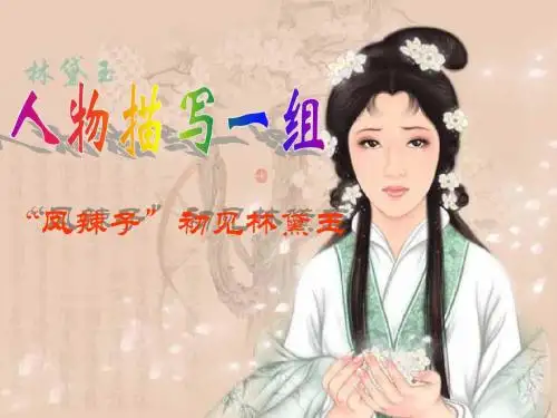 五年级语文红楼梦人物描写