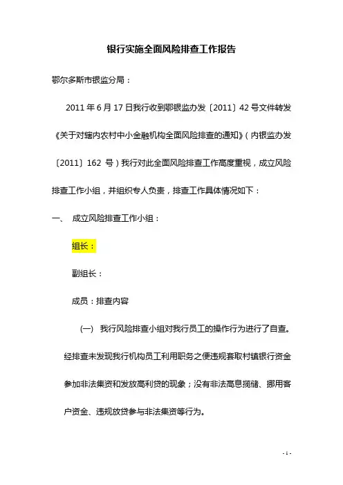 风险排查报告