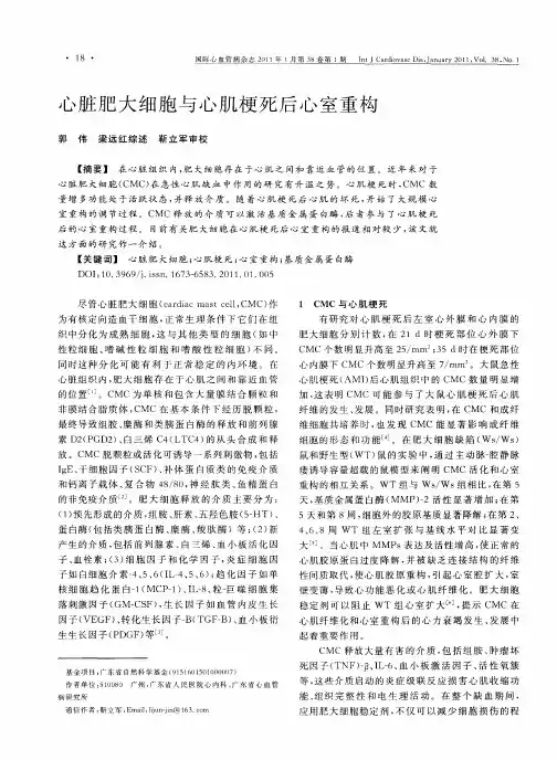 心脏肥大细胞与心肌梗死后心室重构