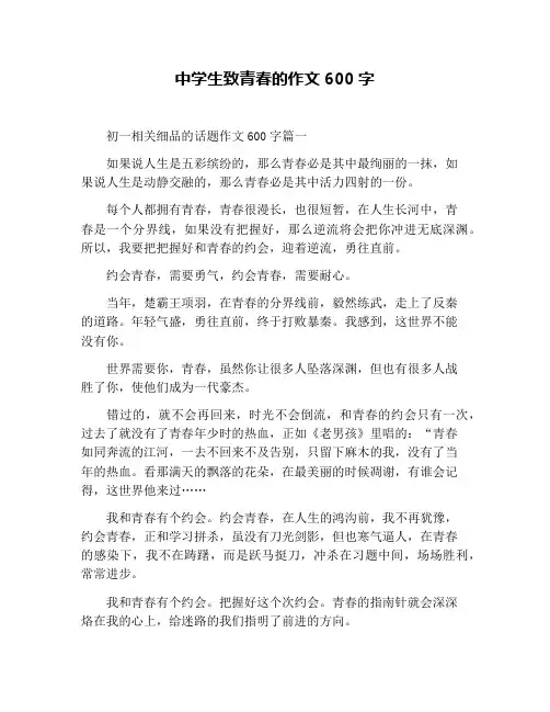 中学生致青春的作文600字