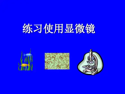 初中生物北师大版七年级上册第1节 细胞的基本结构和功能