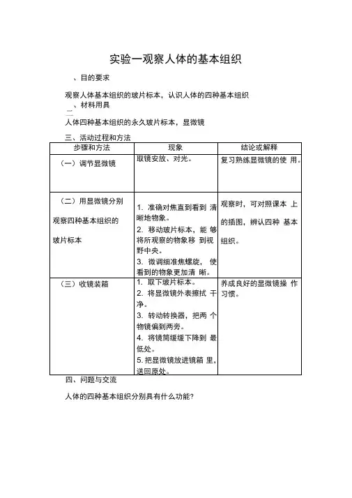 实验一观察人体的基本组织