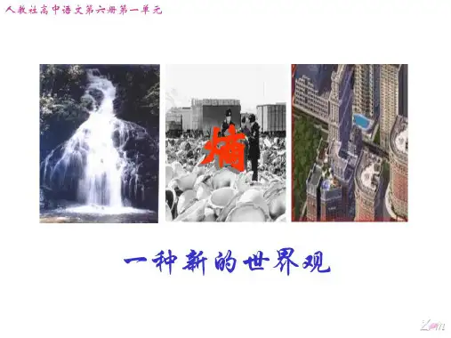 熵一种新的世界观