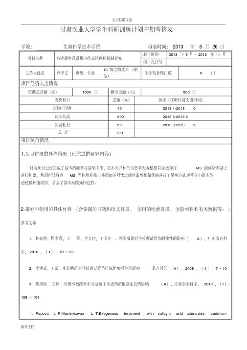 实用实用模板SRTP中期考核