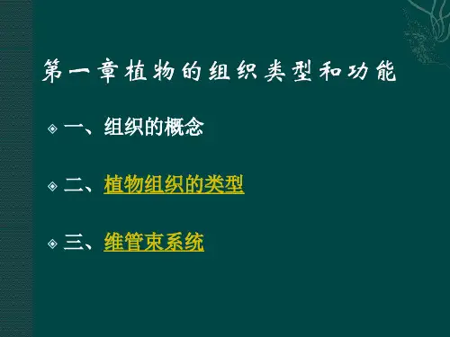 (精品)植物的组织类型和功能