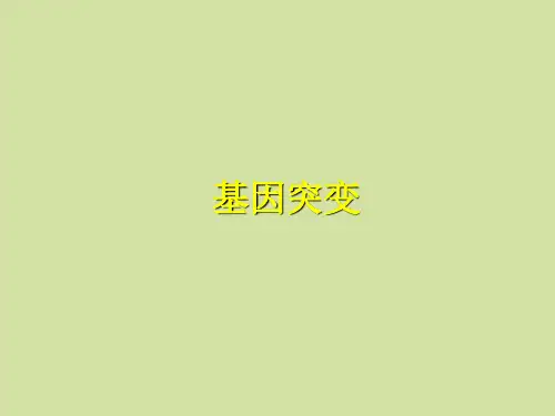 苏教版高中生物必修2:遗传与进化基因突变